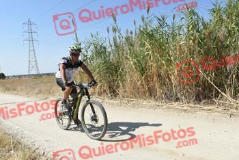 JULIAN GIBELLO MUNOZ Talajara 2018 42586
