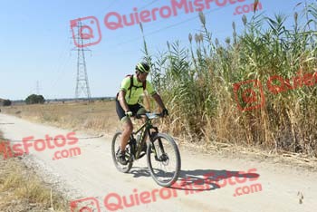 DANIEL GABINO DEL MAZO FERNANDEZ Talajara 2018 43222