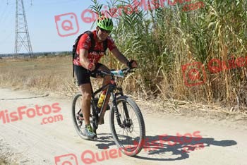 JUAN JOSE ALBA GONZALEZ Talajara 2018 43305