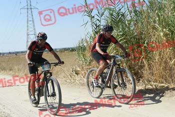 JOAQUIN BAILON MARTIN Talajara 2018 43385