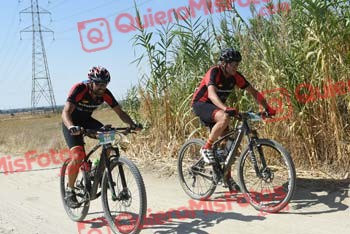 JOAQUIN BAILON MARTIN Talajara 2018 43386