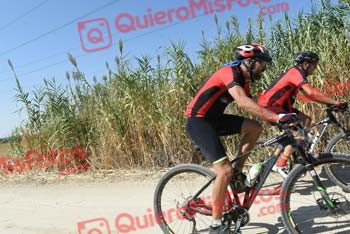 JOAQUIN BAILON MARTIN Talajara 2018 43390