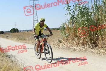 JAVIER PALOMAR SALTO Talajara 2018 43438