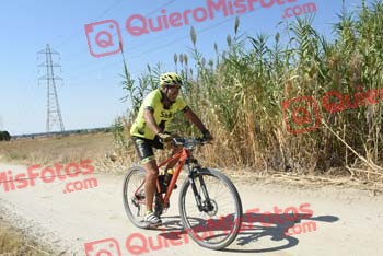 JAVIER PALOMAR SALTO Talajara 2018 43442