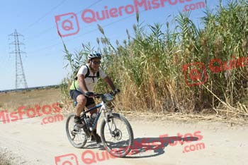 JOSE MARIA PASCUAL HERRANZ Talajara 2018 43658