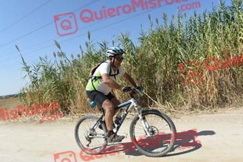 JOSE MARIA PASCUAL HERRANZ Talajara 2018 43660
