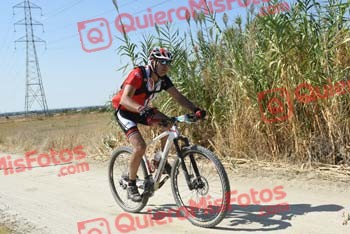 OSCAR OVEJERO REJON Talajara 2018 44544