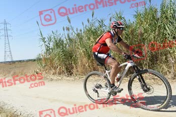 OSCAR OVEJERO REJON Talajara 2018 44547