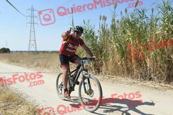 PEDRO MARTIN TELLEZ Talajara 2018 44825