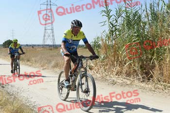 RAMON ALCAIDE PRADO Talajara 2018 45119