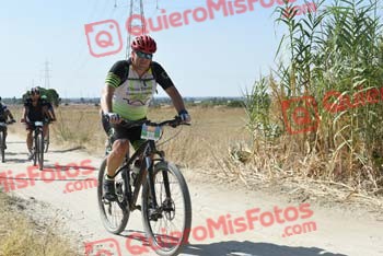ISMAEL COLETO GARCIA Talajara 2018 45326