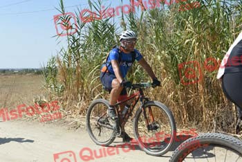 IGNACIO CHECA ALLEGUE Talajara 2018 45502