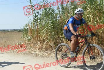 IGNACIO CHECA ALLEGUE Talajara 2018 45503