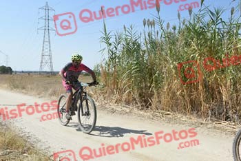 JULIAN AMOR GARCIA Talajara 2018 45673