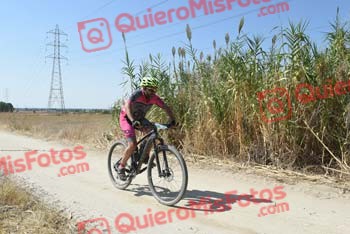 JULIAN AMOR GARCIA Talajara 2018 45675