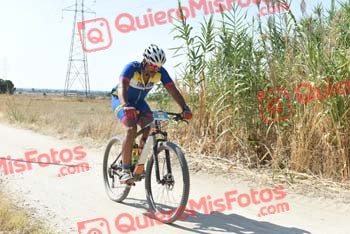 YAGO DE ARRIBA CRIADO Talajara 2018 45803
