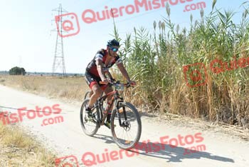 RAFAEL MOTA SALES Talajara 2018 45873