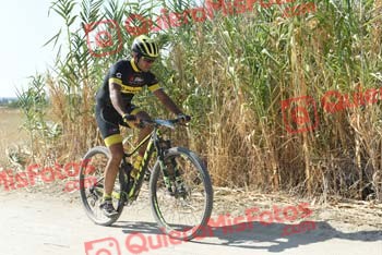 IGNACIO ARRANZ ALES Talajara 2018 46619