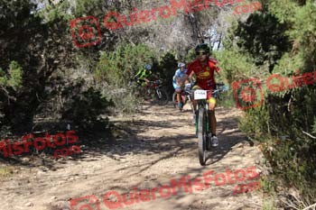ELENA MORELL MORALES Ibiza 2016 41423
