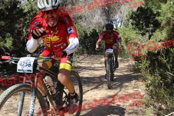 FRANCISCO PALERM TUR Ibiza 2016 41655
