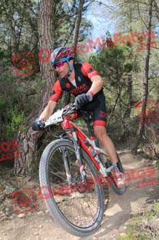 FRANCISCO NOGUERA GALLEGO Ibiza 2017 4 14431