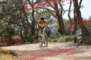 FRANCISCO NOGUERA GALLEGO Ibiza 2017 4 08238