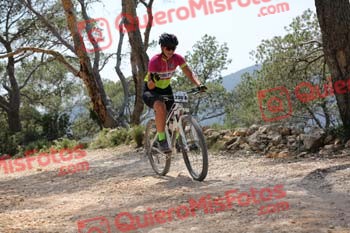 FRANCISCO NOGUERA GALLEGO Ibiza 2017 4 08239