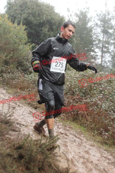 IMG 0941