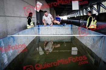 Ausartan Race 2022 02467