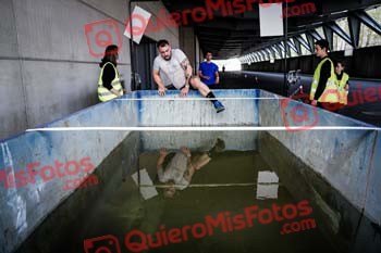 Ausartan Race 2022 02468