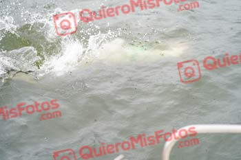 Bilbao Triathlon 2022 08304