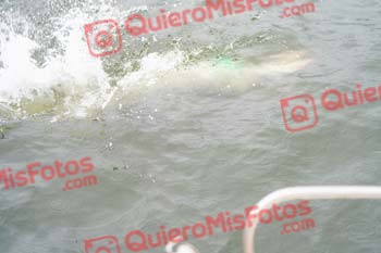 Bilbao Triathlon 2022 08305