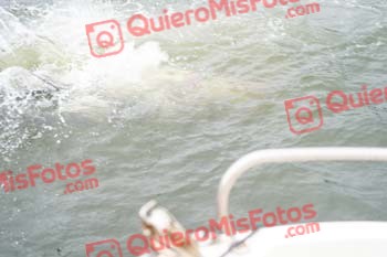 Bilbao Triathlon 2022 08310