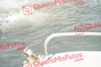 Bilbao Triathlon 2022 08311