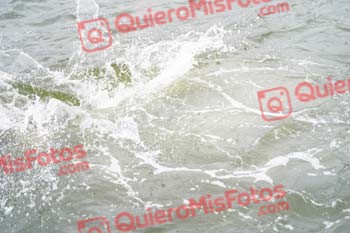 Bilbao Triathlon 2022 08337